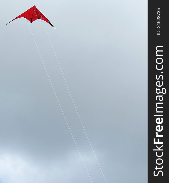 Red kite in blue sky