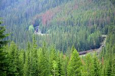 Train In The Canadian Rockies. Royalty Free Stock Photography Train In The Canadian Rockies. Royalty Free Stock Photography