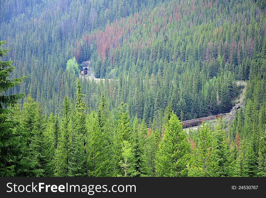 Freight train is passing over great divide. Banff national park. Canada. Freight train is passing over great divide. Banff national park. Canada.