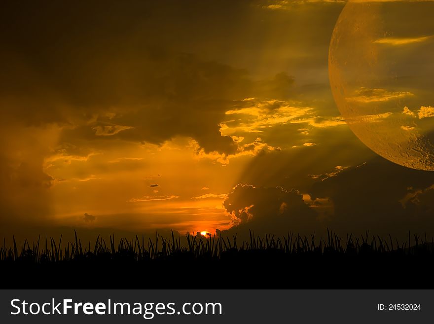 Sunset with a silhouette of grass and moon. Sunset with a silhouette of grass and moon