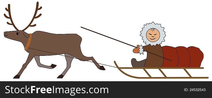 A reindeer pulls sledges with a driver. A reindeer pulls sledges with a driver