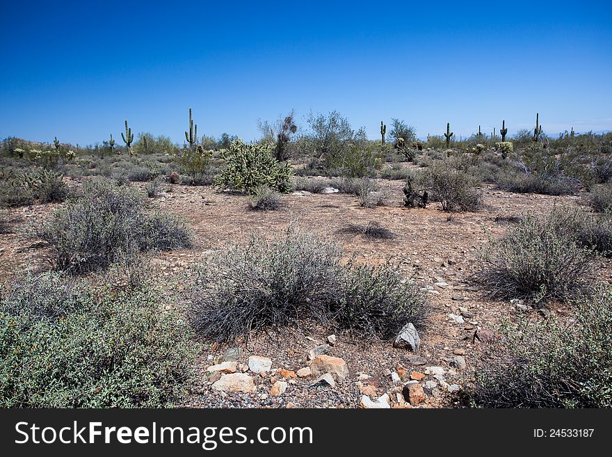 Arizona Desert Scenery