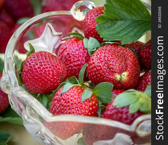 Bowl full of ripe and delicious strawberries. Bowl full of ripe and delicious strawberries