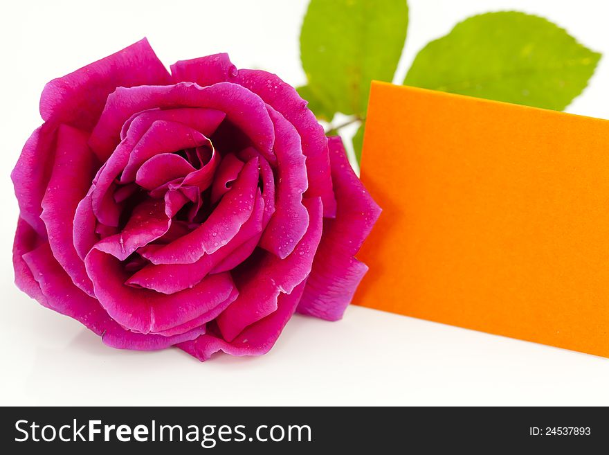 Red rose with a business card in orange