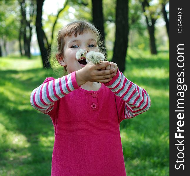 Happy little girl blows away dandelion fluff