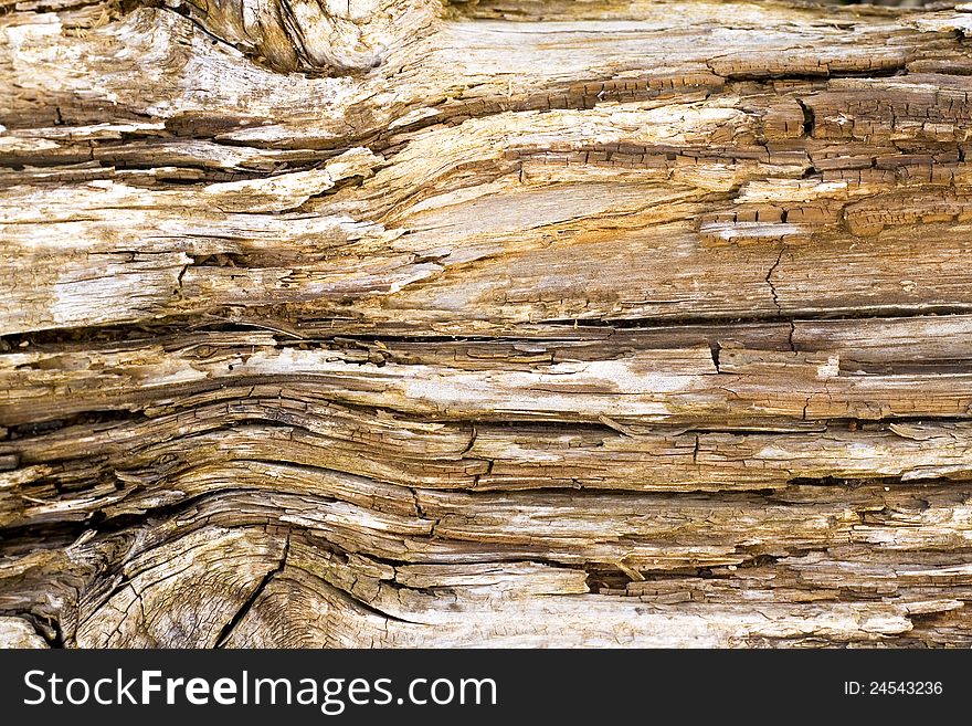 Old wooden texture-brown backgrounds