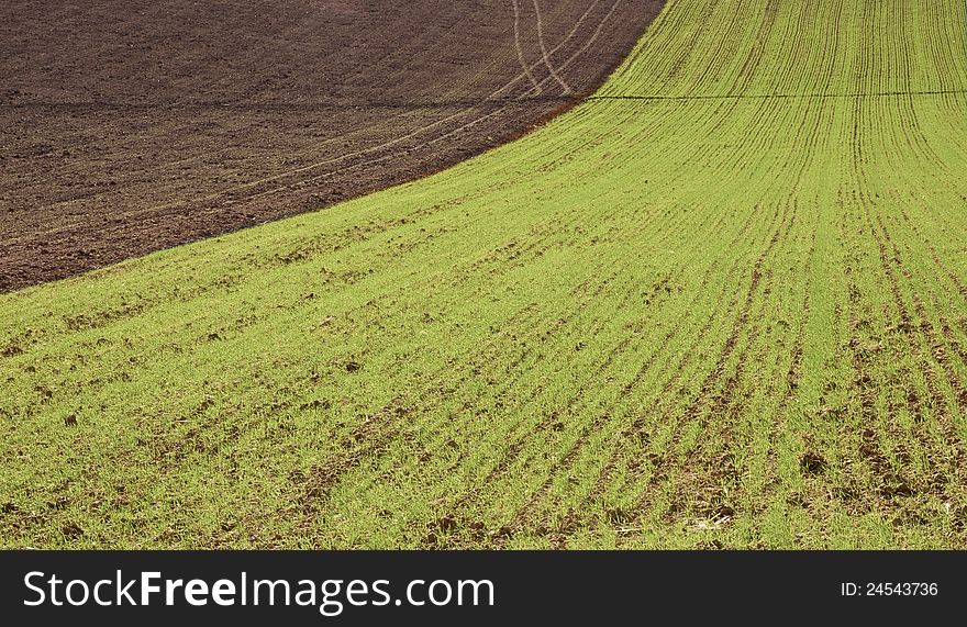 Farm In Val Of Recanati, Italy