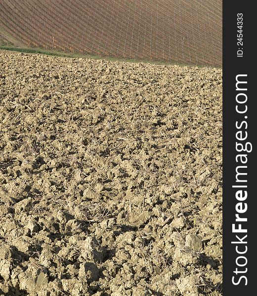 Agricultural land in val of Recanati. Marche region, Italy