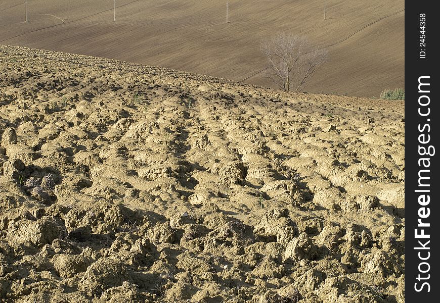 Agricultural land in val of Recanati. Marche region, Italy