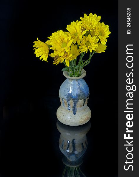 Yellow Daises in a vase