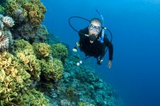 Scuba Diver On A Coral Reef Royalty Free Stock Photo Scuba Diver On A Coral Reef Royalty Free Stock Photo