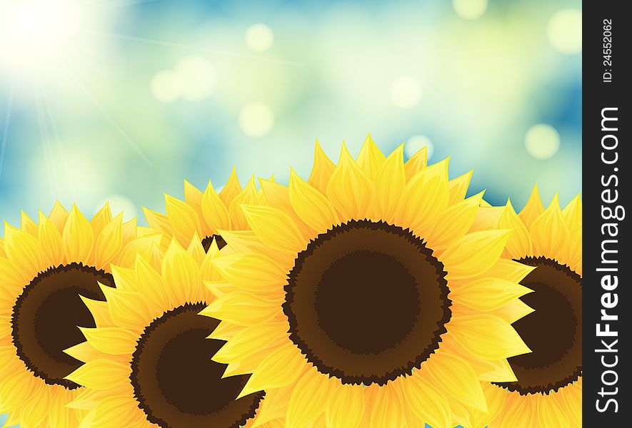 Beautiful sunflowers on bokeh background