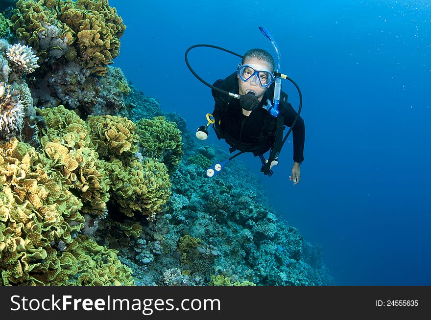 Scuba diver on a coral reef