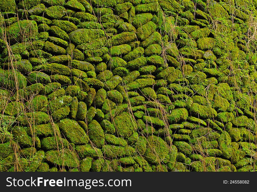 Stone wall with lichen. Stone wall with lichen.