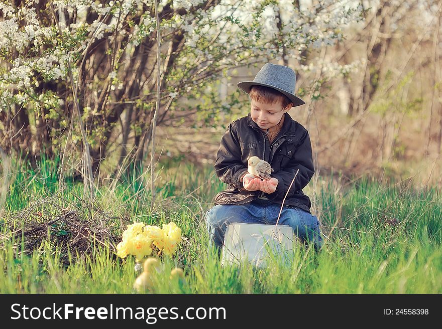 The boy outdoors in a hat plays with chickens. The boy outdoors in a hat plays with chickens