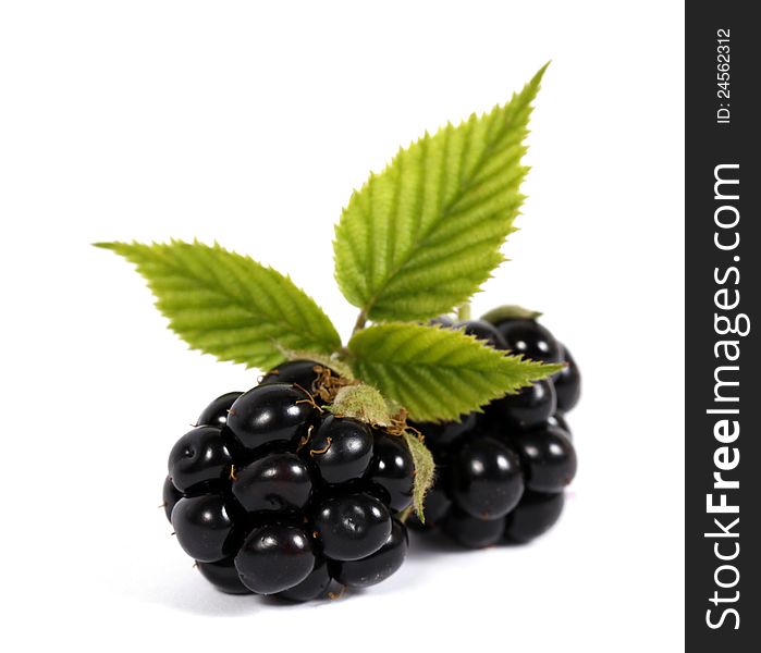 Blackberries with leaves on the white background