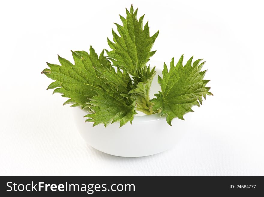 Close-up of nettle leaves in white bowl. Close-up of nettle leaves in white bowl.