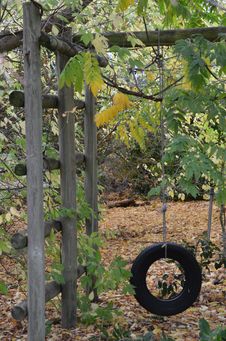 Old Tyre Swing Royalty Free Stock Photos Old Tyre Swing Royalty Free Stock Photos