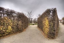 Autumn In Vienna Park Royalty Free Stock Photos
