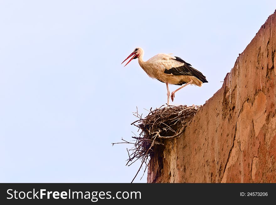 A stork in the nest built on ancient walls