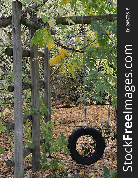 An old rubber car tyre converted into a childs swing, and set amongst a heavily overgrown garden area, with a blanket of golden leaves on the ground. An old rubber car tyre converted into a childs swing, and set amongst a heavily overgrown garden area, with a blanket of golden leaves on the ground.