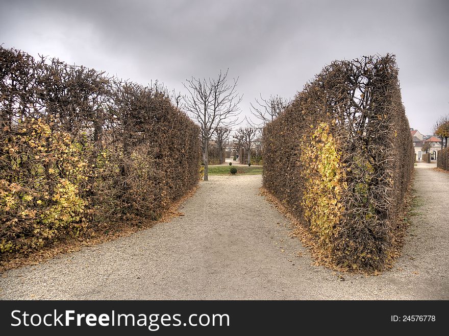 Autumn in Vienna park