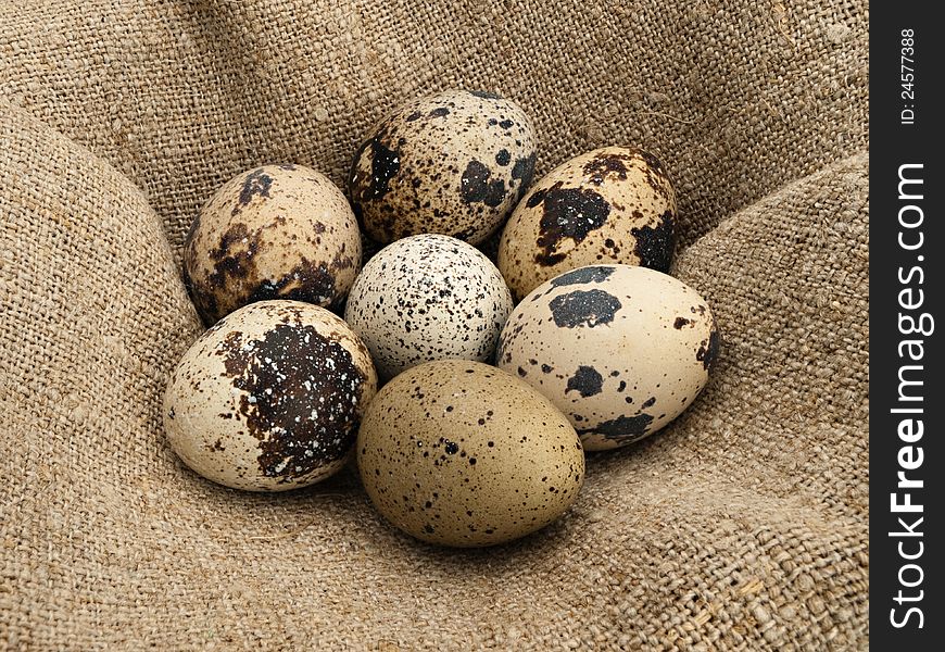 Quail eggs in a nest from a linen drapery. Quail eggs in a nest from a linen drapery.