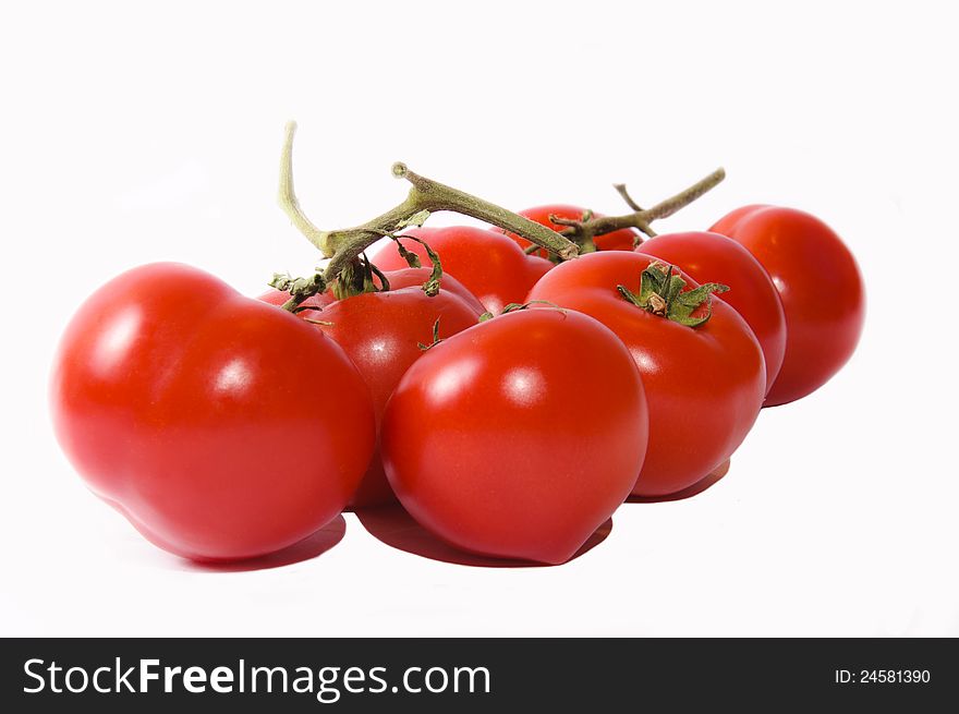 Tomatoes isolated on the white. Tomatoes isolated on the white