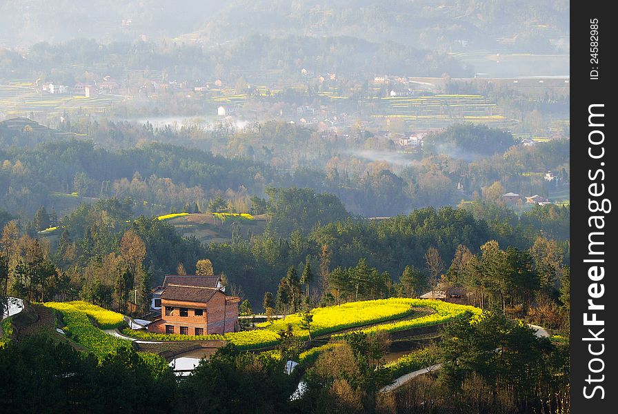 High mountain farmhouse in a flower field, and the houses of the distant woods, in shaanxi rural tourism.