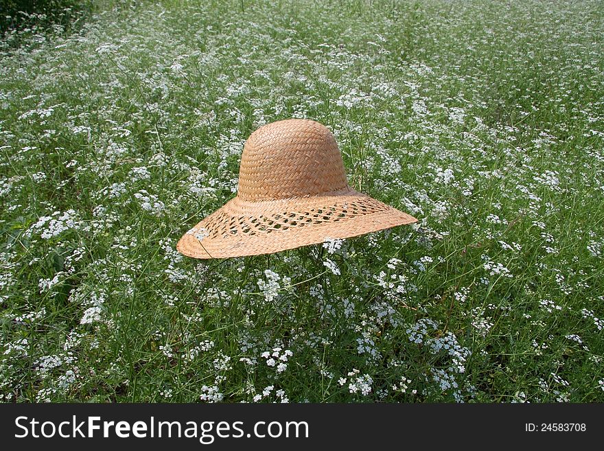 A straw hat on the white flower field. A straw hat on the white flower field.