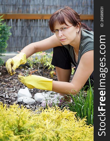 Middle Age Woman Gardening In Sunny Day