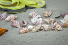 Marine Snails And Flip Flops On Sand Royalty Free Stock Photo