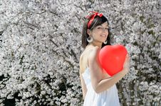 Spring Love Royalty Free Stock Photography Spring Love Royalty Free Stock Photography