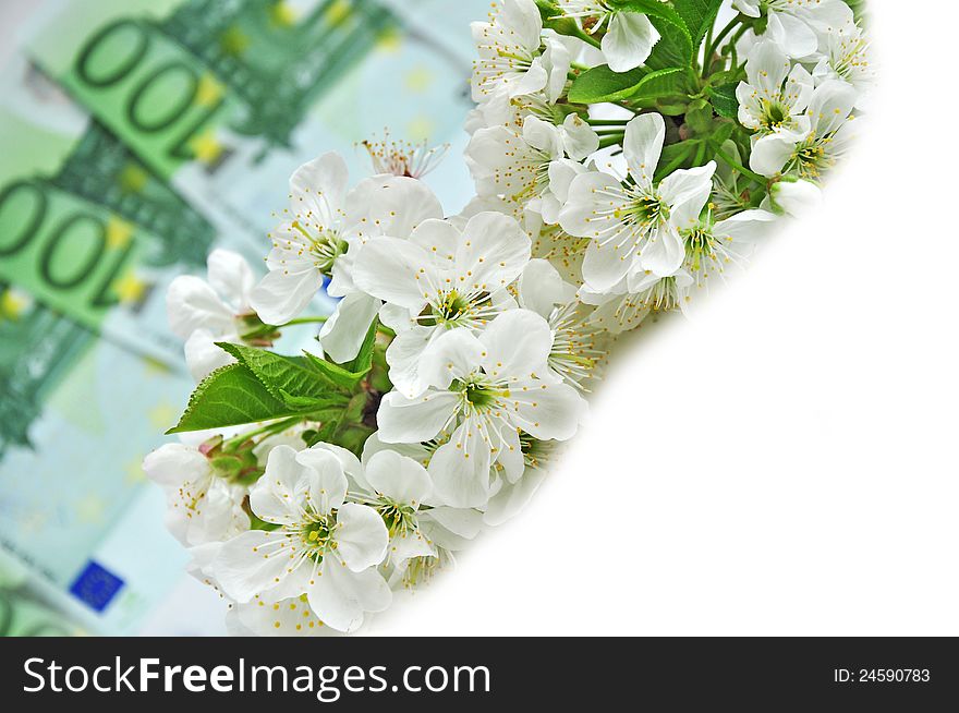 Concept of flowering business or shopping, flowers on money. Concept of flowering business or shopping, flowers on money.