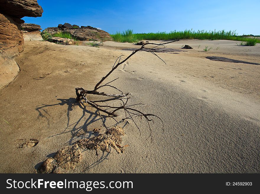 Wooden in desert and blue sky in Ubonratchatanee. Wooden in desert and blue sky in Ubonratchatanee