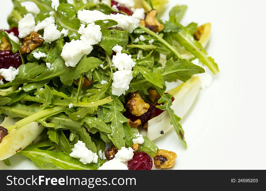 Chicory and organic rocket salad