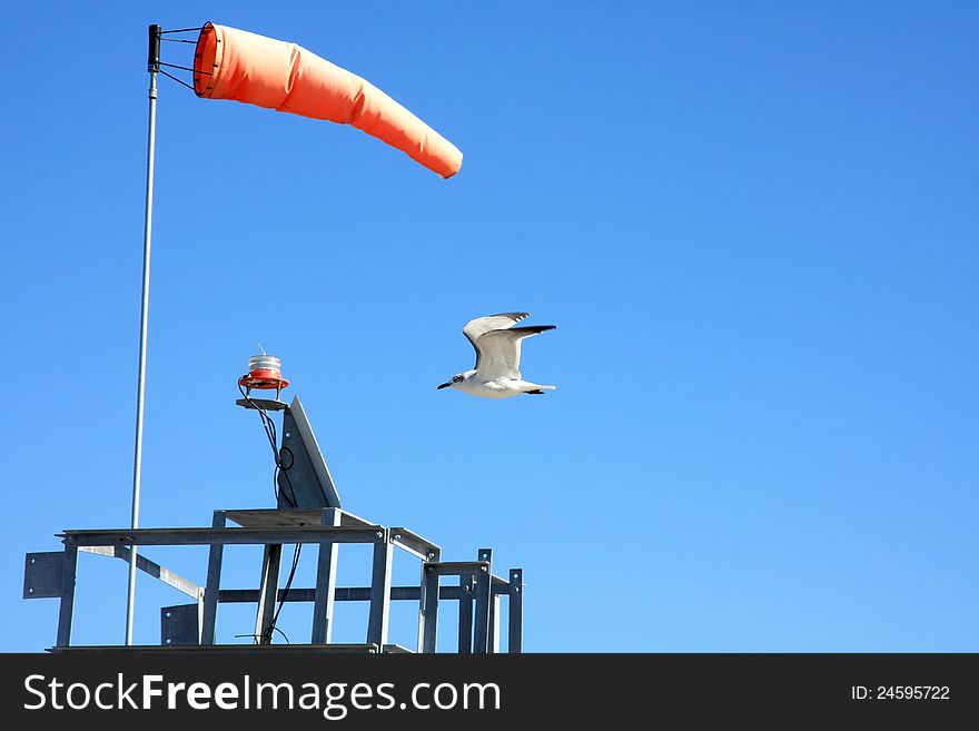 Anemometer and bird on blue sky background.