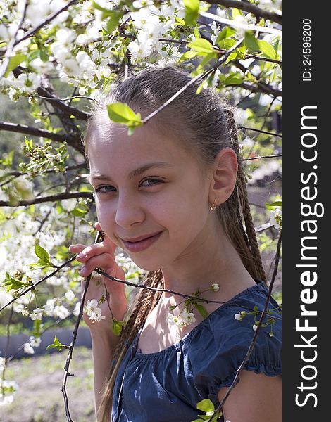 Beautiful young girl among blossoming cherry trees. Beautiful young girl among blossoming cherry trees