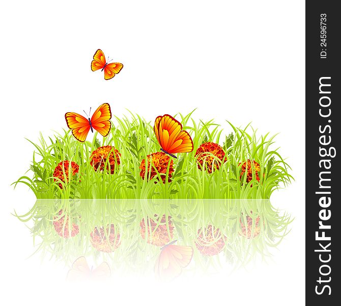 Green grass with red flowers and butterflies. Green grass with red flowers and butterflies