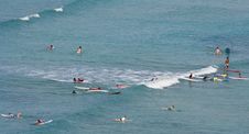 Waikiki Surfers Royalty Free Stock Image