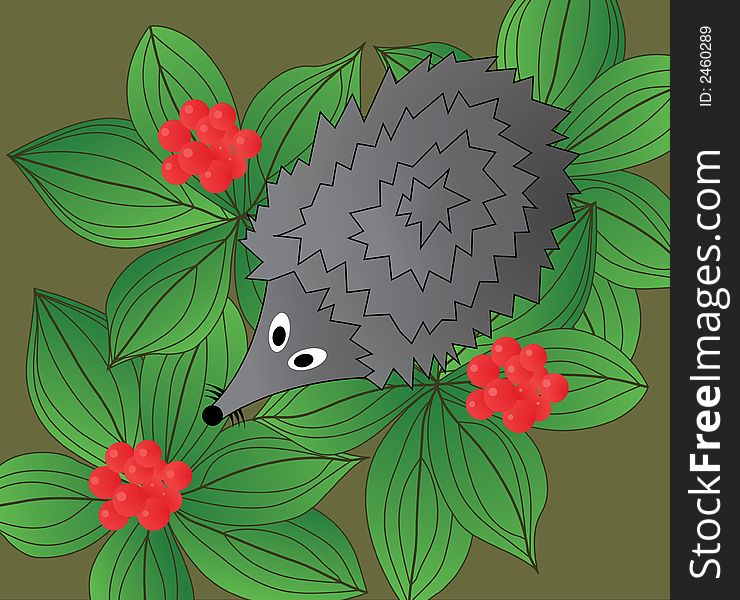 Hedgehog. The top view. A vector illustration.