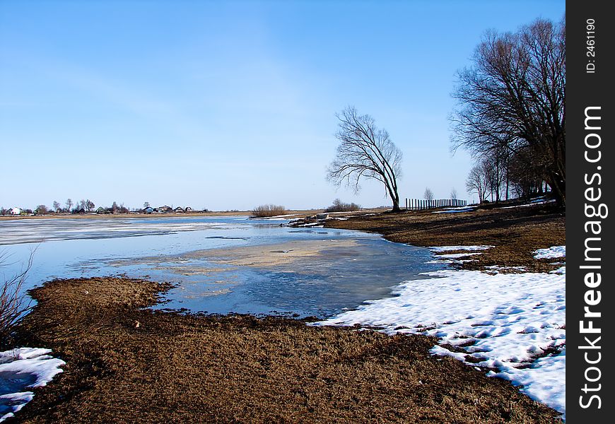 Coast of small lake in the early spring