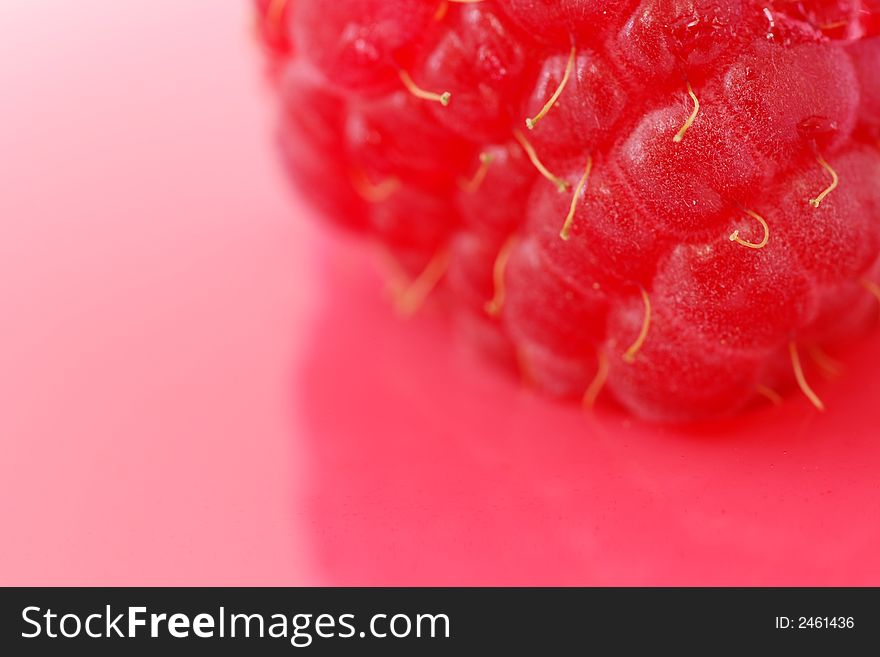 Plump and delicious raspberry shot against a pink background. Plump and delicious raspberry shot against a pink background