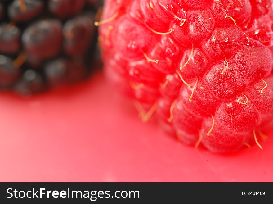 Plump and delicious raspberry and blackberry shot against a pink background. Plump and delicious raspberry and blackberry shot against a pink background