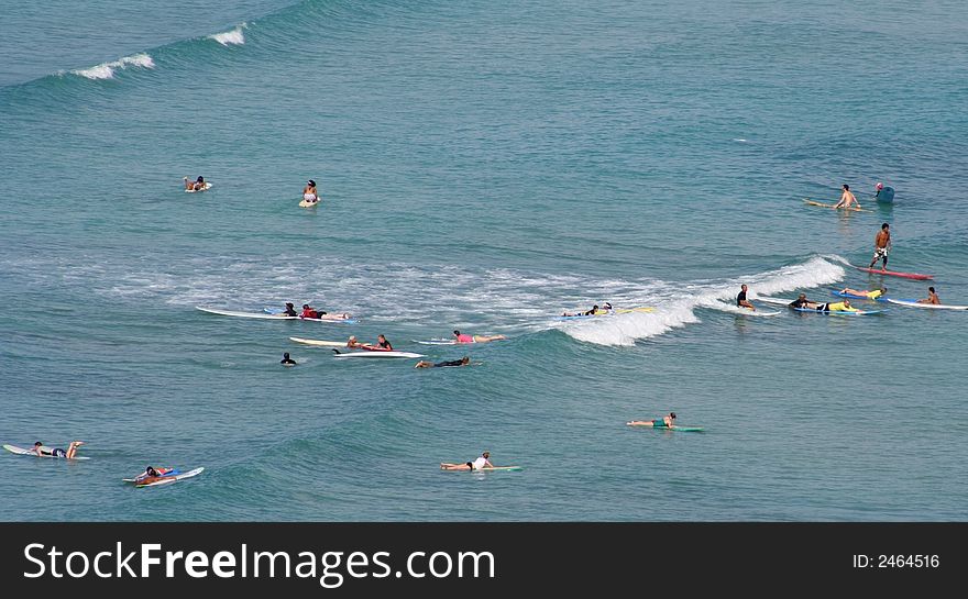 Waikiki Surfers