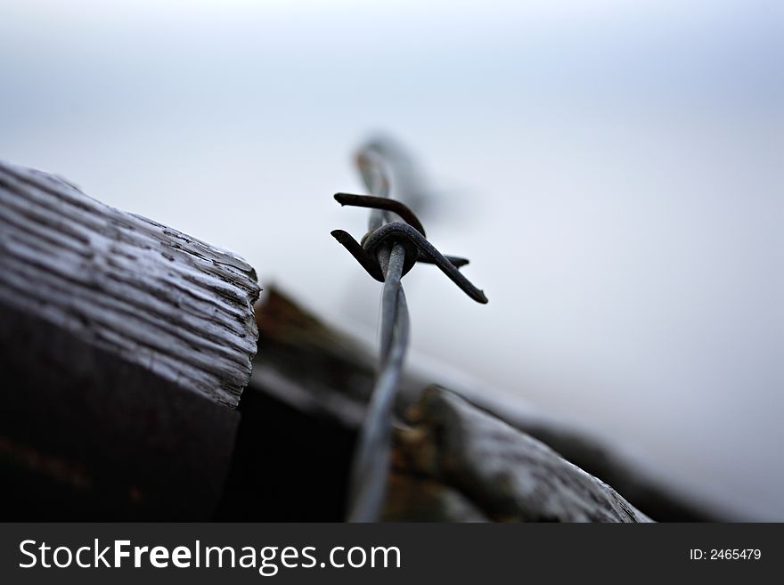 Close up of sharp barbed wire