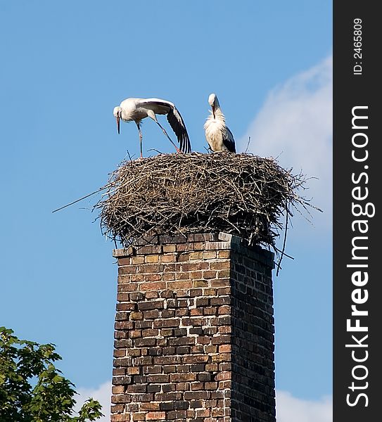 Two storks have arrived flied in a jack. The kid soon will be born