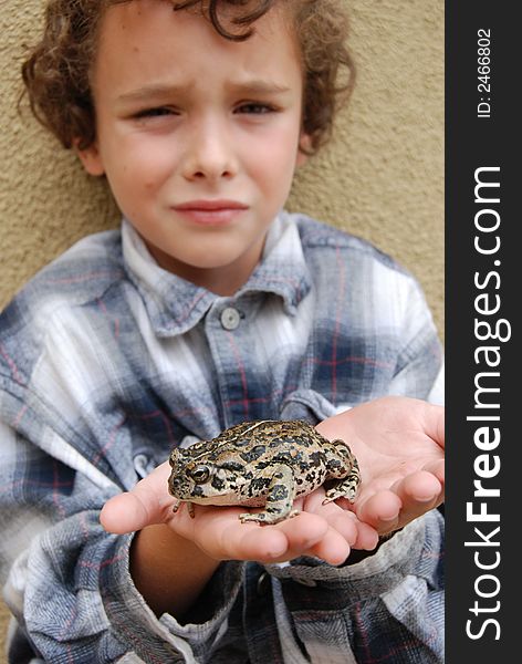 Boy happy to have found and holding a huge California native toad. Boy happy to have found and holding a huge California native toad