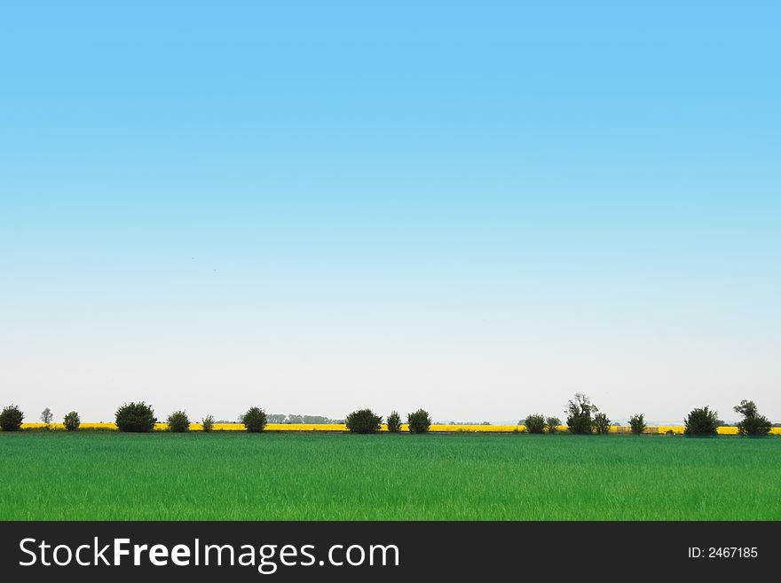 Czech landscape with yellow fields and blue sky