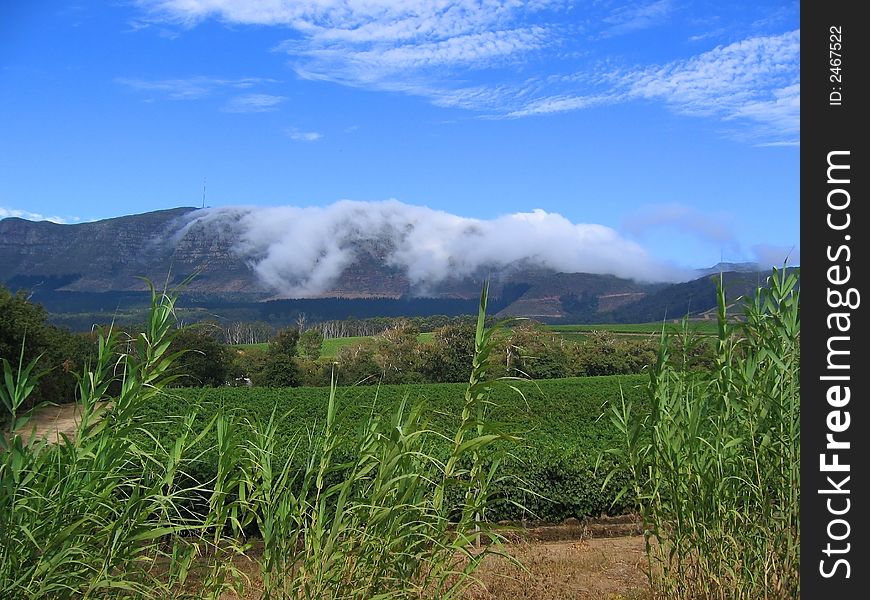 A beautiful mountain surrounding Constantia, Cape Town. A beautiful mountain surrounding Constantia, Cape Town